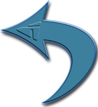 Our Company can use any language with a database, as well as brand a site and design a logo.